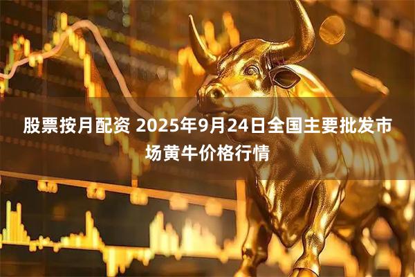 股票按月配资 2025年9月24日全国主要批发市场黄牛价格行情
