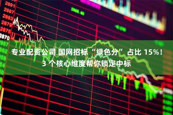 专业配资公司 国网招标 “绿色分” 占比 15%！3 个核心维度帮你锁定中标